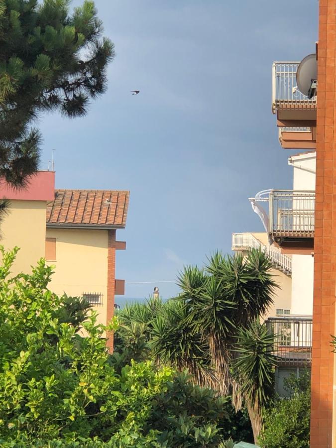 Moonlight Next Palapellicone Tra Mare E Pineta Monolocale Daire Lido di Ostia Dış mekan fotoğraf